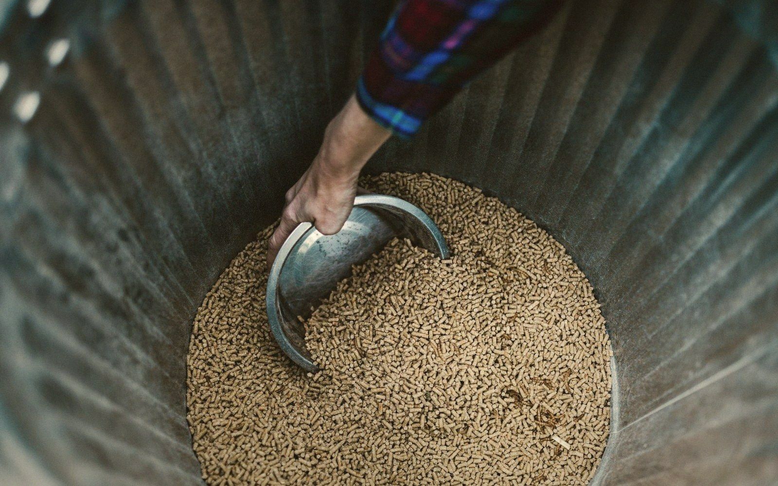 A row of scoops in an open feed bin