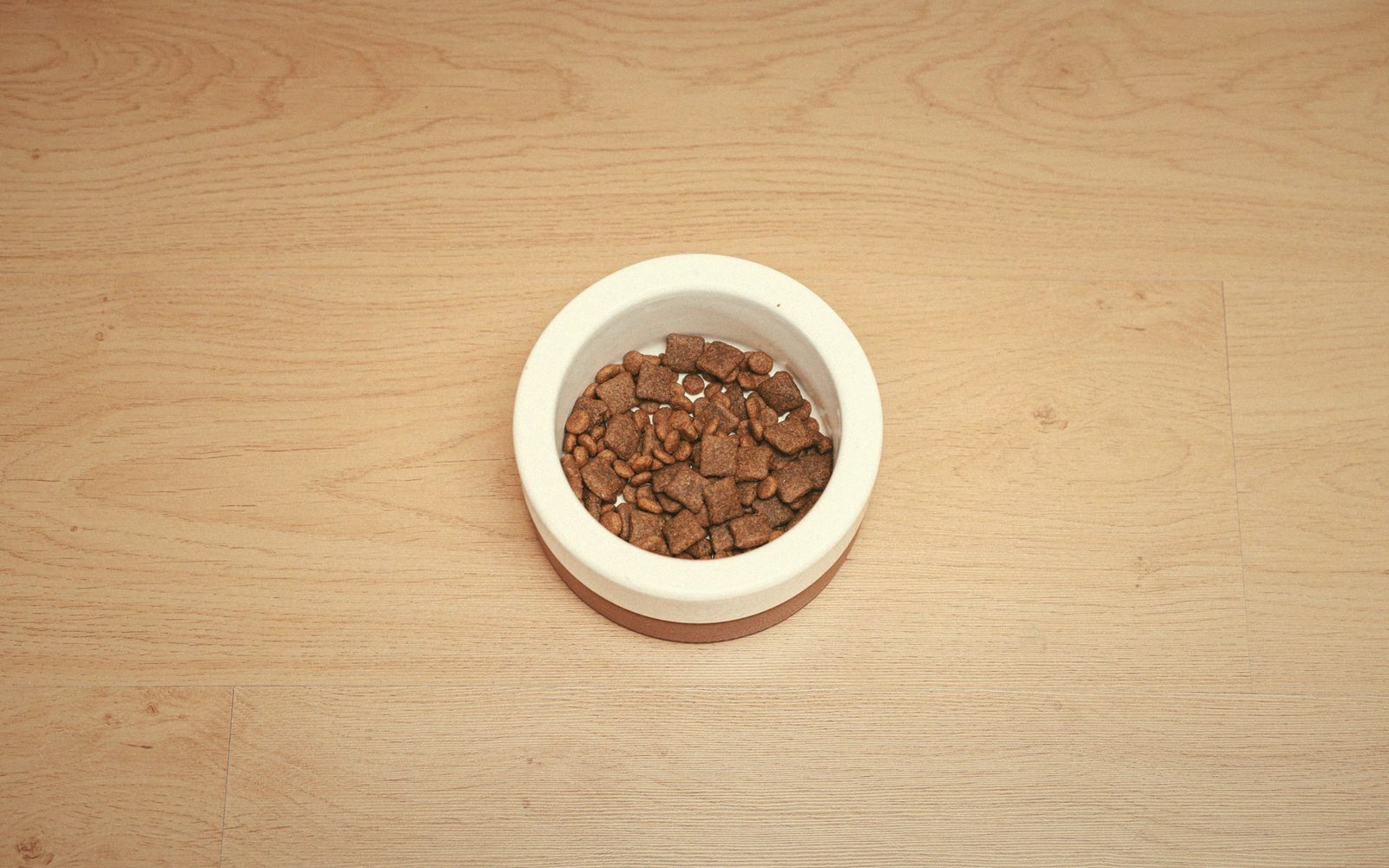 A white bowl of dry kibble sits on a wooden floor, viewed from above