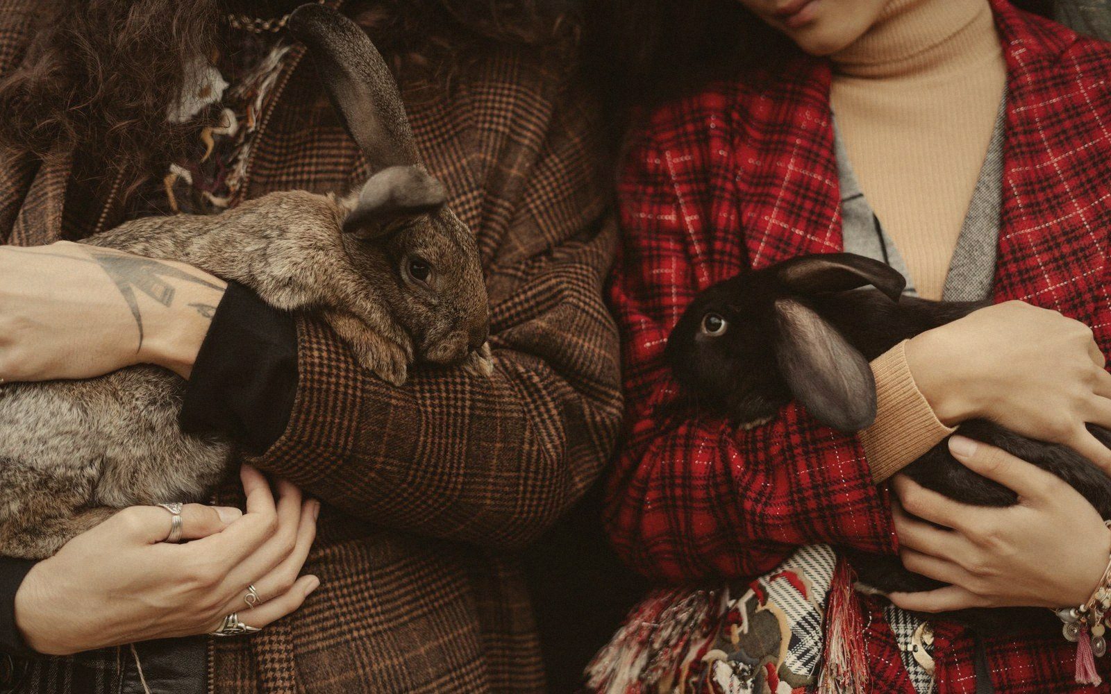 Two people in plaid coats each cradle a rabbit, supporting them against their chests