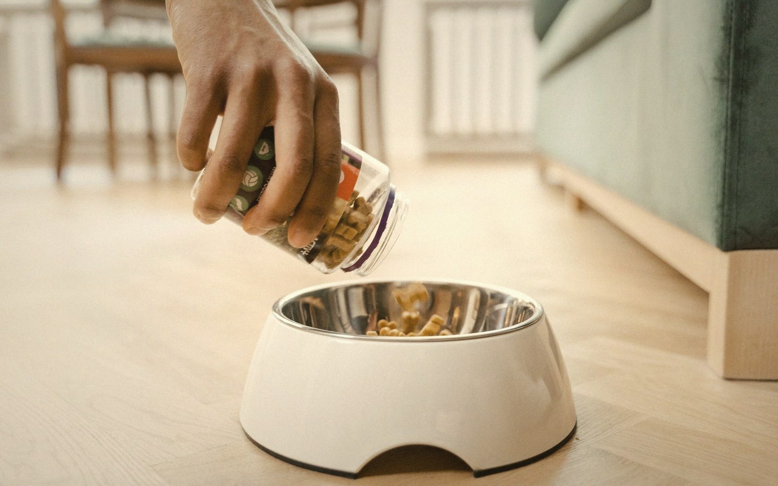 A hand pours dry kibble from a jar into a metal pet bowl on the floor
