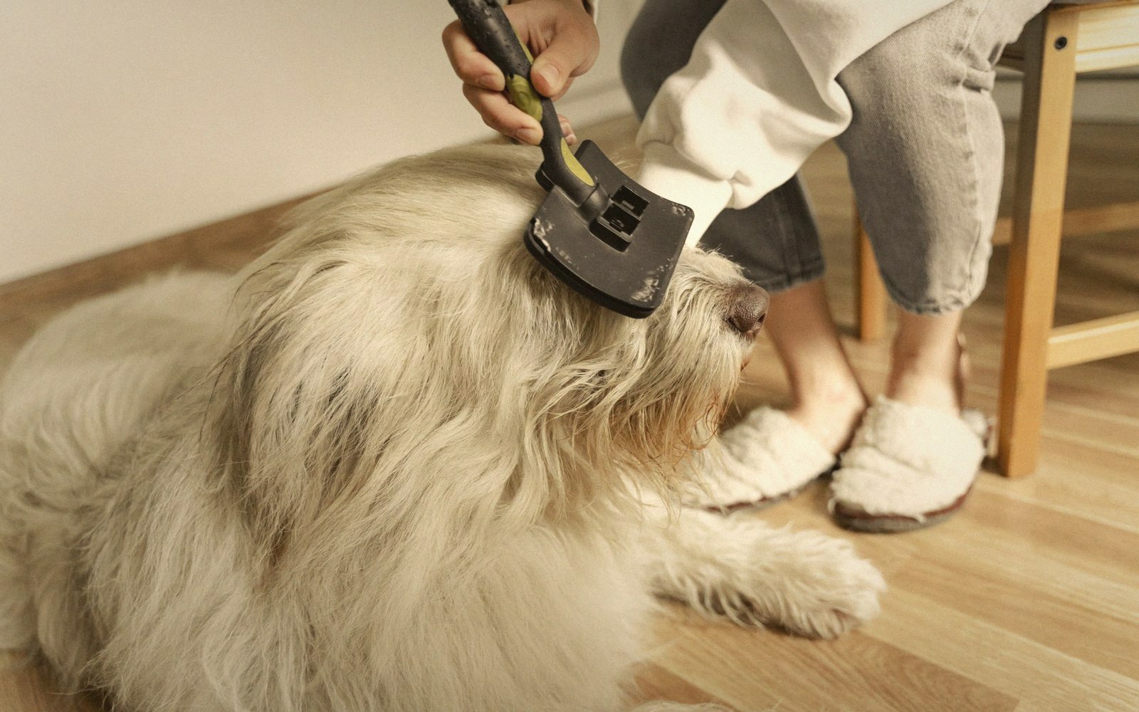 A pile of brushed-out undercoat beside the brush