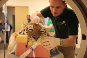 Dr. Mike Adkesson And Tiger